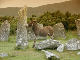 Coulagh Stone Circle